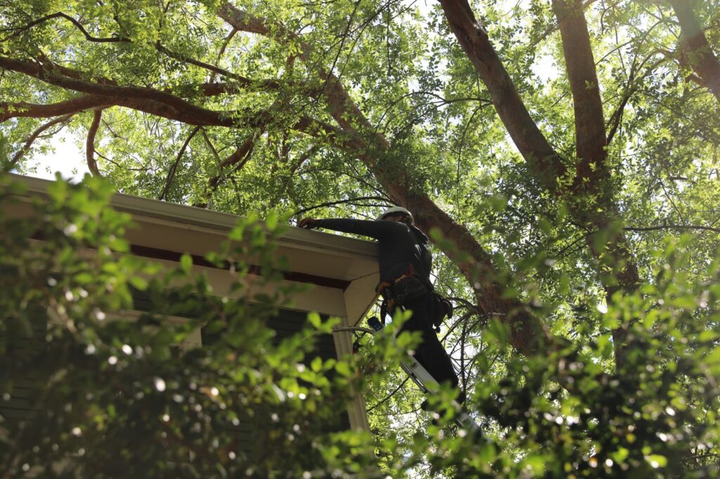 About Us City Gutters