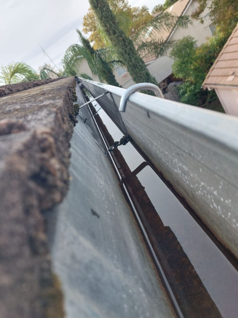 Gutter Cleaning