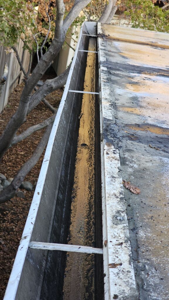 Gutter Cleaning