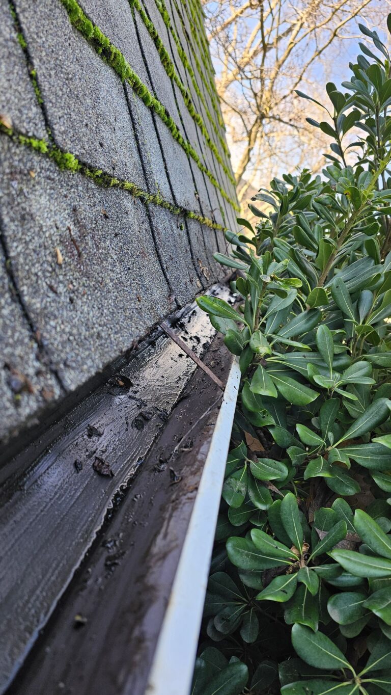 Gutter Cleaning