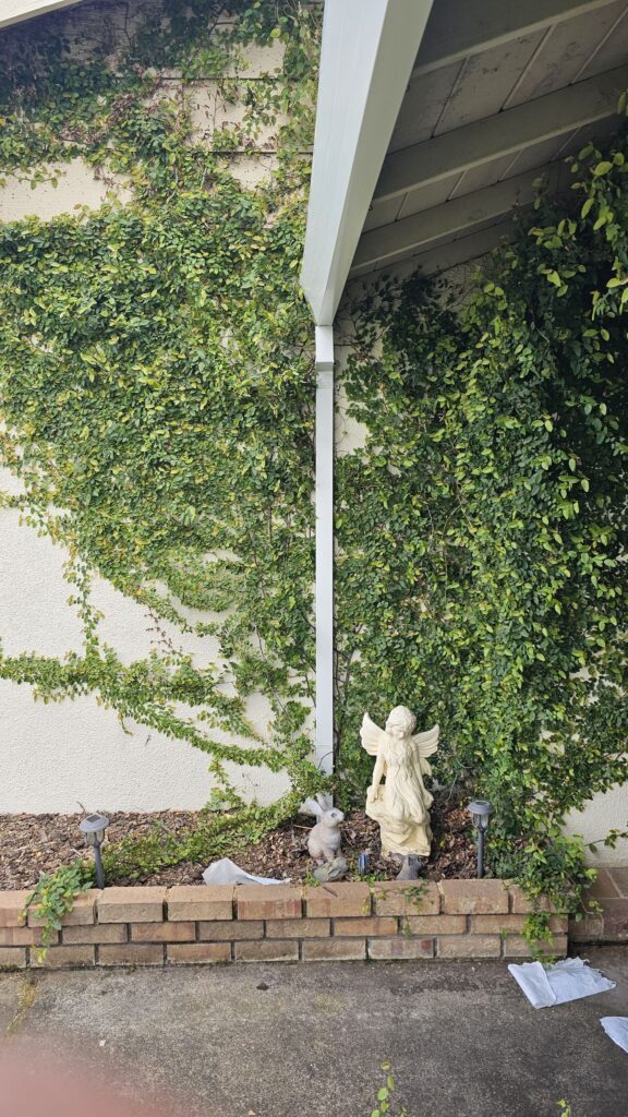 Installed downspout attached to a home with vine-covered siding. Showcases proper gutter drainage setup and clean landscaping with garden statues and solar lights, a good example of a functional and aesthetic rainwater management