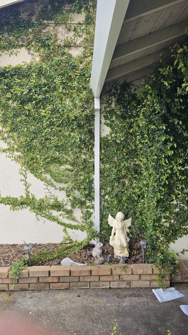 Installed downspout attached to a home with vine-covered siding. Showcases proper gutter drainage setup and clean landscaping with garden statues and solar lights, a good example of a functional and aesthetic rainwater management