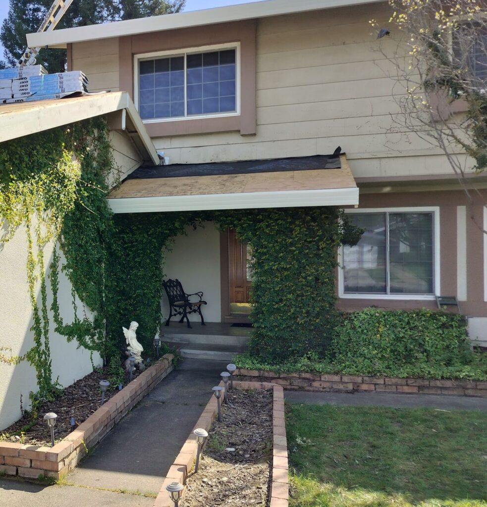 Installed downspout attached to a home with vine-covered siding. Showcases proper gutter drainage setup and clean landscaping, a good example of a functional rainwater management