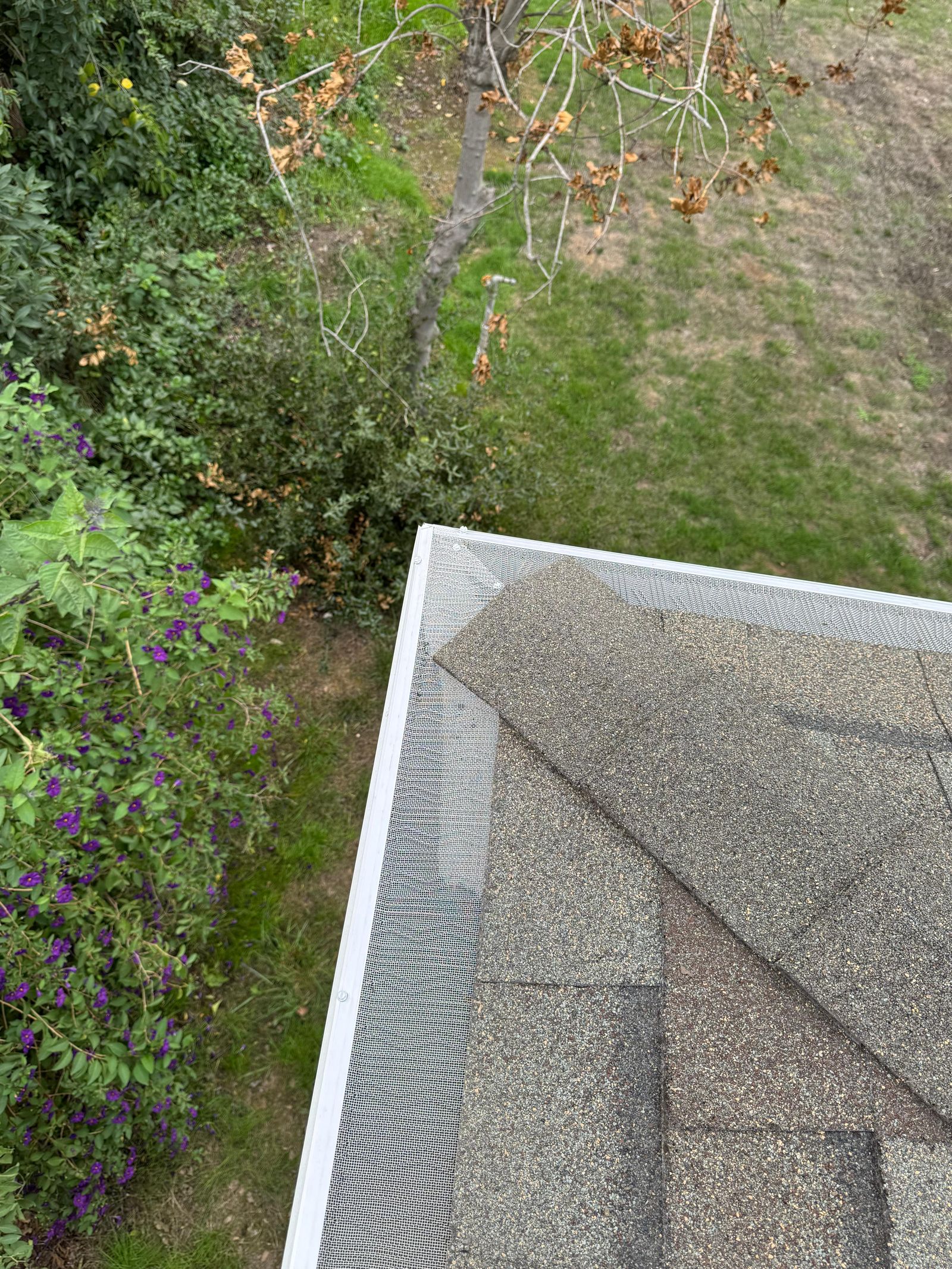 Close-up of newly installed gutter guards in the corner. Background features the grass and some plants.