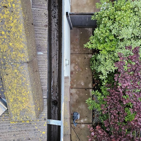 Gutter cleaning