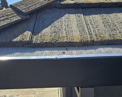 Gutter Guards