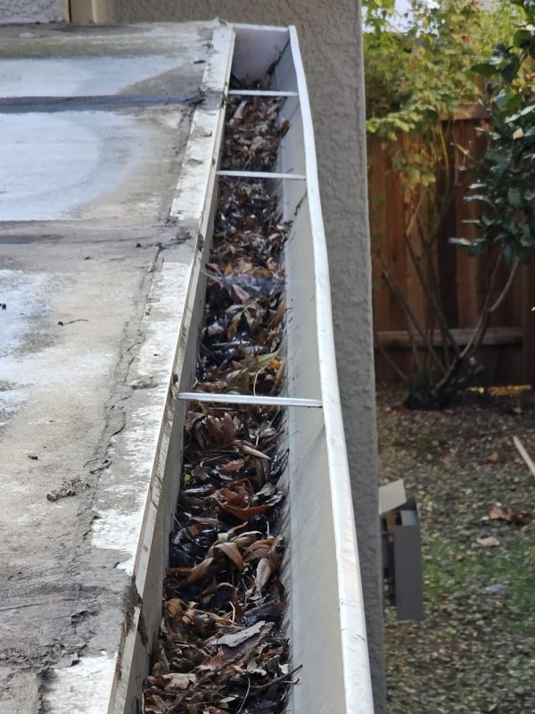 Gutter cleaning