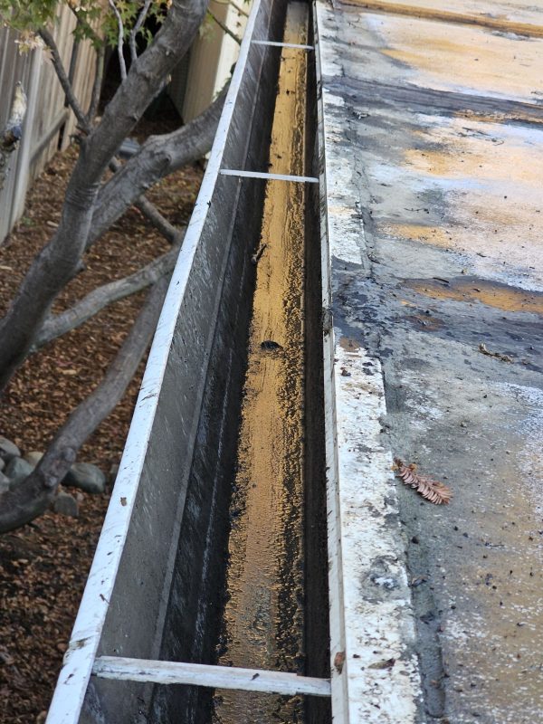 Gutter Cleaning