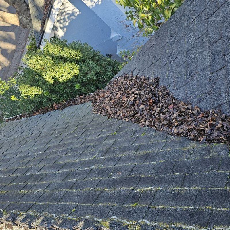 Gutter Cleaning