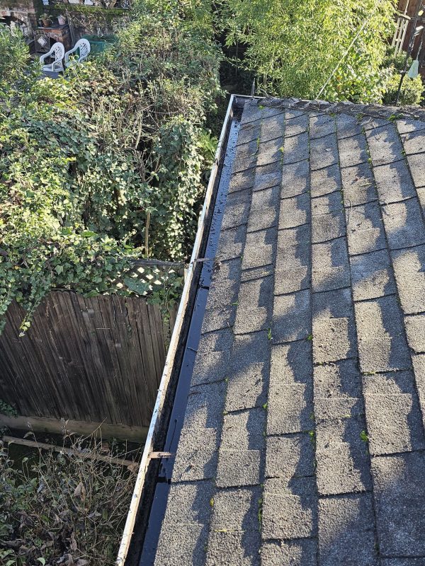 Gutter Cleaning