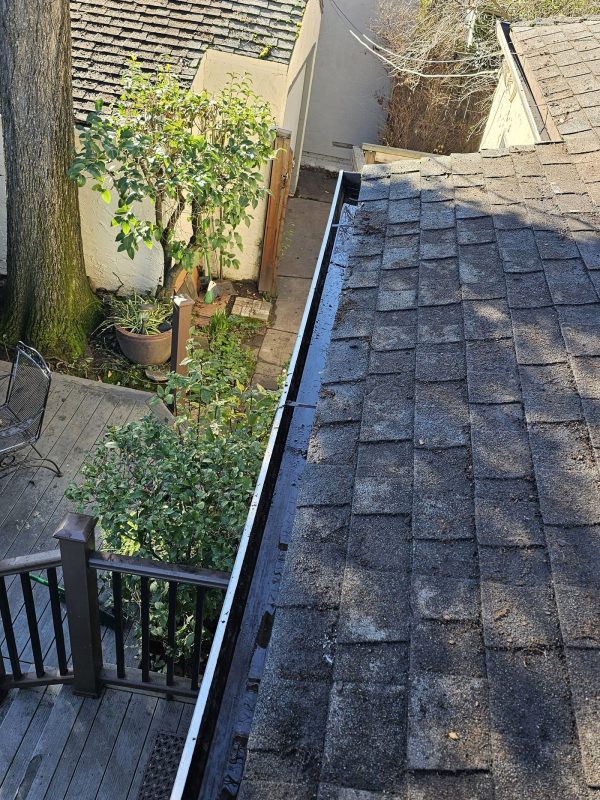 Gutter Cleaning