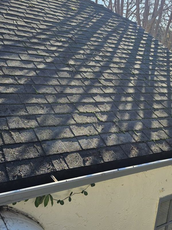 Gutter Cleaning