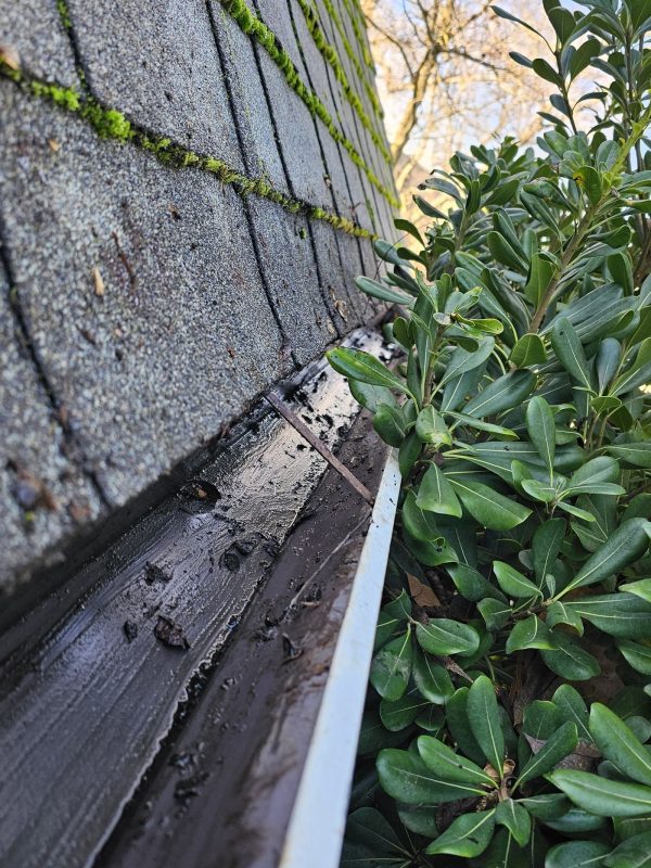 Gutter Cleaning