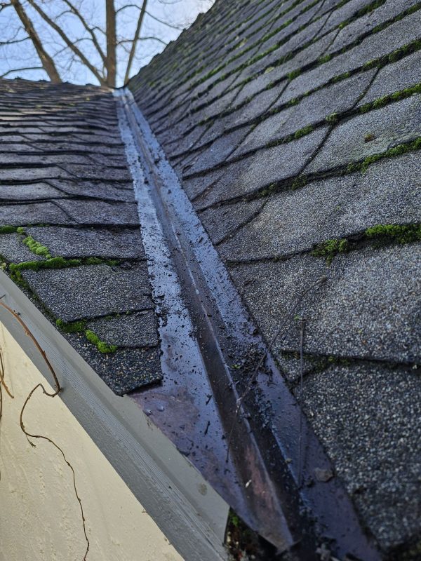 Gutter Cleaning After