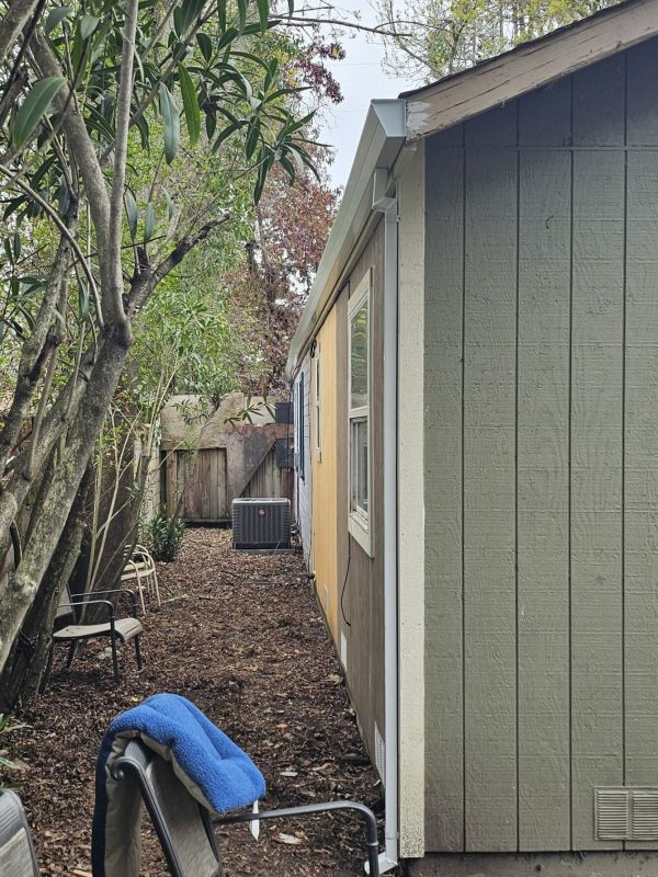 Side yard view showing a seamless downspout installed on a shed-style building. Surrounded by trees and natural ground cover, this setup highlights effective rainwater drainage in narrow outdoor spaces.