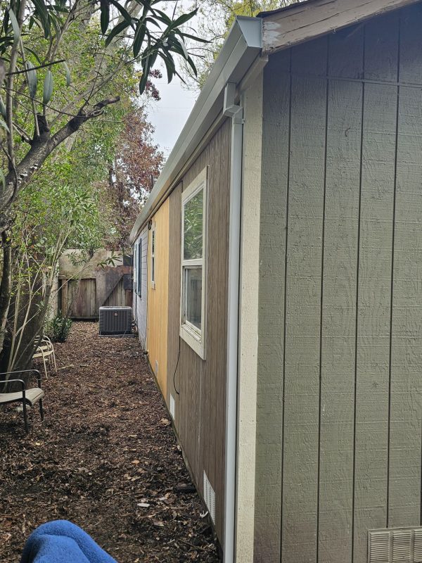 Side yard view showing a seamless downspout installed on a shed-style building. Surrounded by trees and natural ground cover, this setup highlights effective rainwater drainage in narrow outdoor spaces.