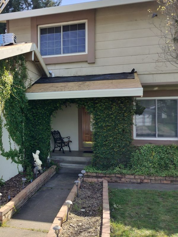 Installed downspout attached to a home with vine-covered siding. Showcases proper gutter drainage setup and clean landscaping, a good example of a functional rainwater management