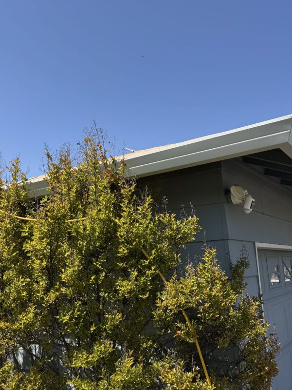 New white G5 gutters were installed on a home. There is a big bush to the left side of the photo.