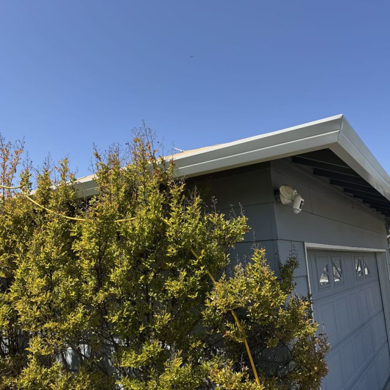 New white G5 gutters were installed on a home. There is a big bush to the left side of the photo.