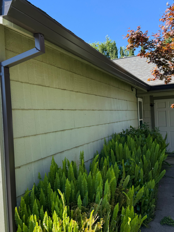 Brown Gutter Installation